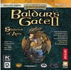 Baldur s Gate 2: Shadows of Amn                            